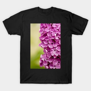 Beautiful Lilac T-Shirt